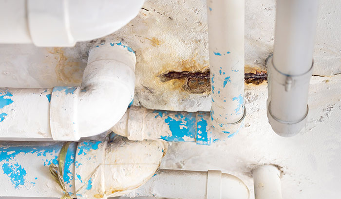 8 Signs You May Have a Burst Water Pipe